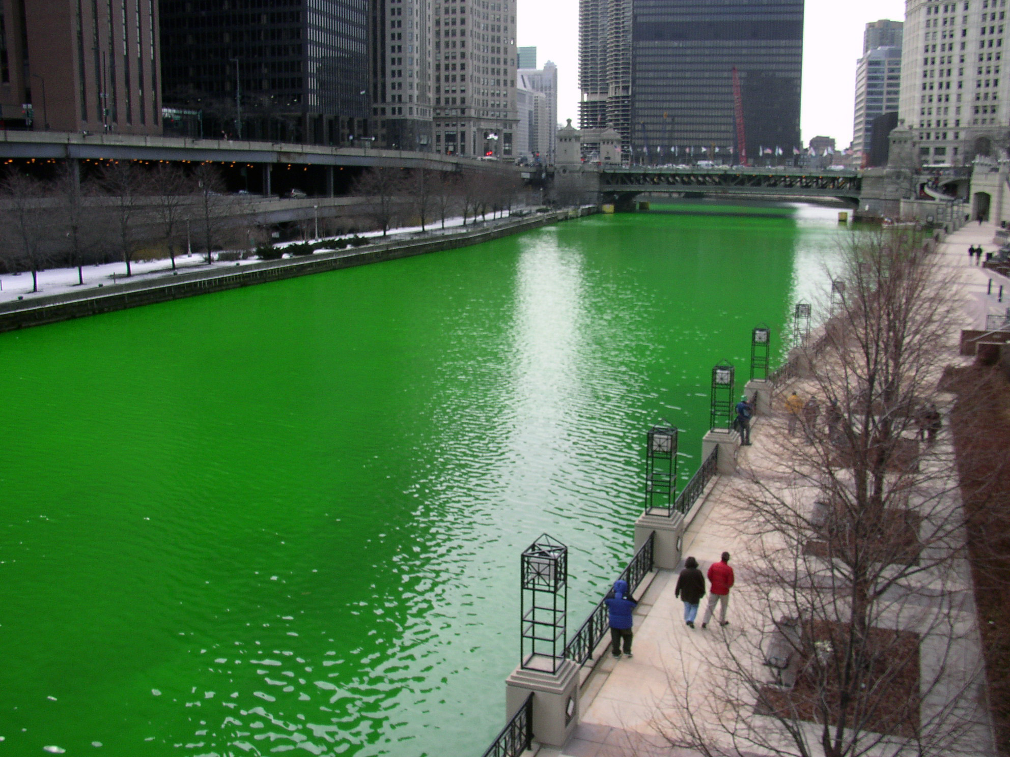 Green water winding between buildings along the Chicago River